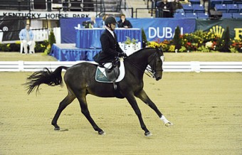 Kilkenny’s James Dwyer in action for the Irish Para Equestrian team.