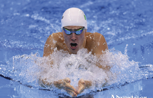 Doing his country proud: Nicholas Quinn won his heat in the 200m breaststroke of the Rio Olympics this week. Photo: Sportsfile