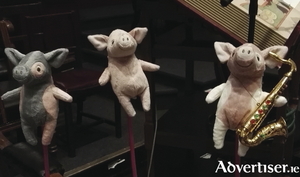 See these little guys with Evelyn Cusack at WhistleBlast Quartet&#039;s upcoming show at the Town Hall.