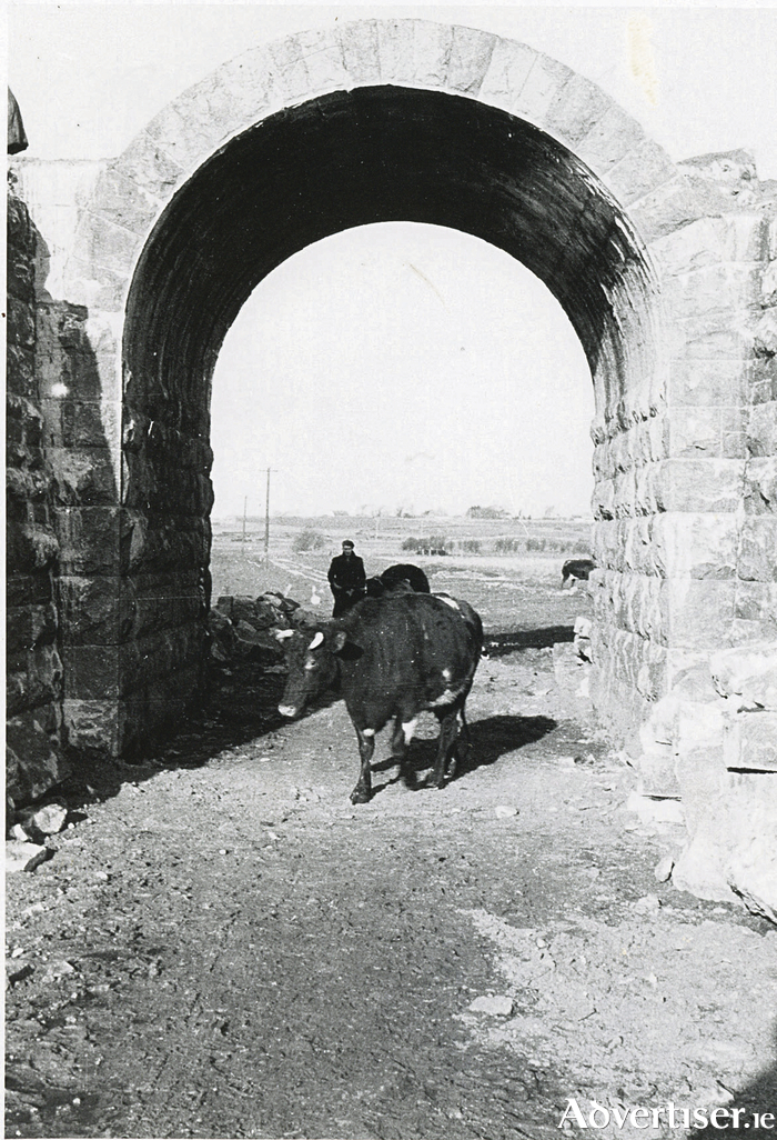 Advertiser.ie The Dyke Road