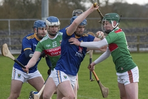 Holding off: Mayo will welcome Offaly to Castlebar on Sunday - last weekend they were narrowly beaten by Wicklow. Photo: Ciara Buckley 
