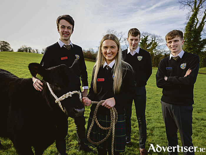 Peter O'Neill, Amy Higgins, Oisín Colleran and Cormac Delaney of Holy Rosary School, Mountbellew. Fennell Photography 2023