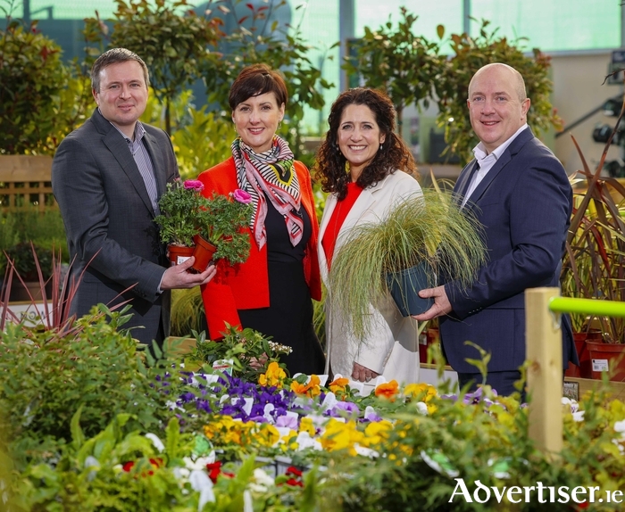 ( l-r) Rob O’Keeffe, Head of Marketing, Tirlán CountryLife; Kerrie Gardiner, Show Gardens and Horticulture Content Manager, Bord Bia Bloom; Laura Douglas, Head of Bloom and Brand Partnerships, Bord Bia; Senan Foley, Head of Retail, Tirlán CountryLife announced the call for amateur gardening groups to apply to design and deliver a postcard garden at Bord Bia Bloom 2024. Tirlán CountryLife was announced as feature sponsor of the much-loved petite garden spaces at the annual gardening showcase. Interested community groups are invited to apply by March 11th at bordbiabloom.com  