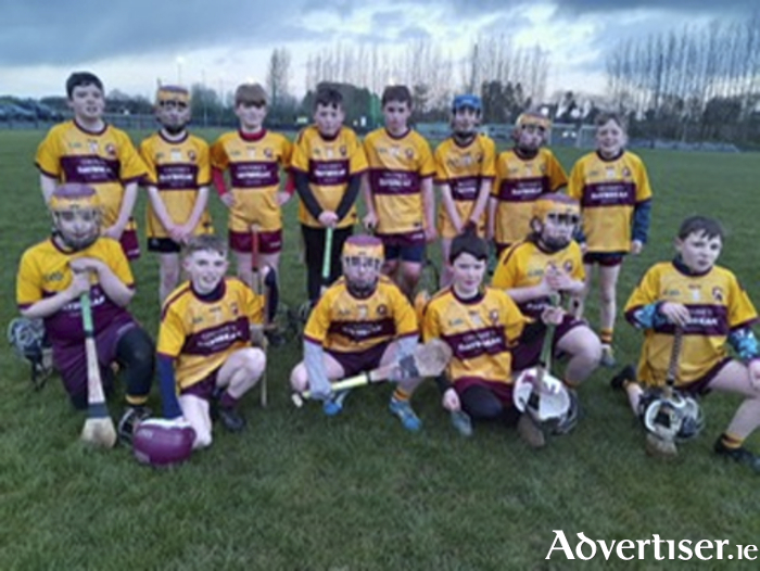 Pictured are the Southern Gaels Under 12 side who played St. Brigids last week.  Back row, l-r, Lorcan McMonagle, Rory O’Connor,  Angus Baker, Leon O’Leary,  Cillian Coughlan, Paddy Kelly, Senan McLoughlin and Tiernan O’Shaughnessy.  Front row, l-r, Cormac Slevin, Kyle Madden, Sean Slevin,  James Dullea, Tadhg  Faoláin and James Ghee. Missing from the photo are Ronan Burke and Tiernan Sweeney. 
