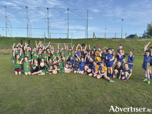 The Garrycastle and Clann na Gael Under 8 players are pictured after the recent games which took place in Garrycastle.

