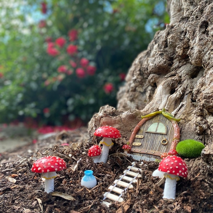 A Fairy Door at the Connancht Hotel