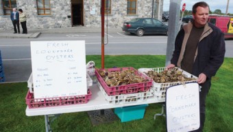 Free oysters in Moycullen.