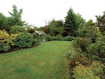 Rear garden.