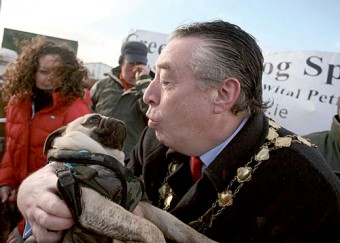 The dogs in the street know that the standing order saga at City Hall is aimed at taming the terrier that is Cllr Connolly.