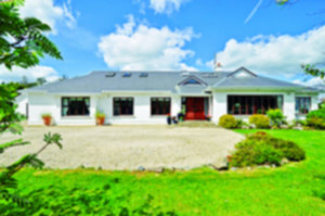 Corcullen, Bushypark.