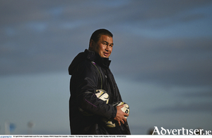 The mastermind: Pat Lam has masterminded Connacht&#039;s qualification to the Champions Cup on their own merit for the very first time. Photo: Sportsfile 