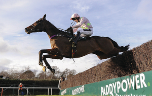 Douvan will return to this year&#039;s festival seeking his third win in three outings. Photo: Seb Daly/Sportsfile