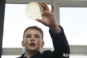 Darragh McEntee, from Cregmore National School, learning all about bacteria at the Junior Achievement Ireland Challenge Science event for primary school students, sponsored by Boston Scientific and hosted by NUI Galway. 