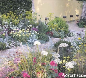 A wide variety of blooms encourages biodiversity, as seen in this Chelsea show garden