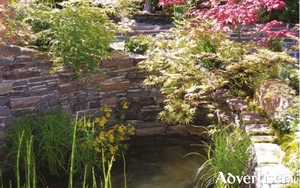 Japanese maples edge a water pool in this Chelsea show garden