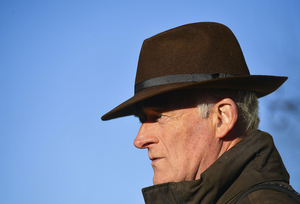 How many winners will Willie Mullins come home with next week. Photo: Sportsfile. 