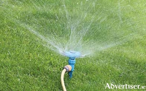 Water your freshly laid turf with a fine mist or spray until established