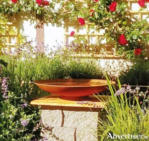 The water bowl surrounded by flowers in summer