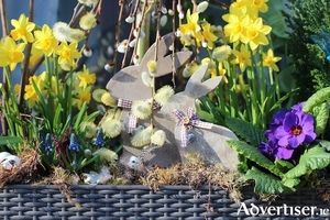 Potted narcissi, grape hyacinths and polyanthus are perfect for spring boxes