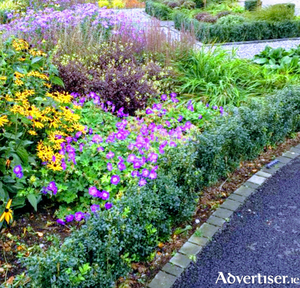 Making the most of every inch of space in the garden