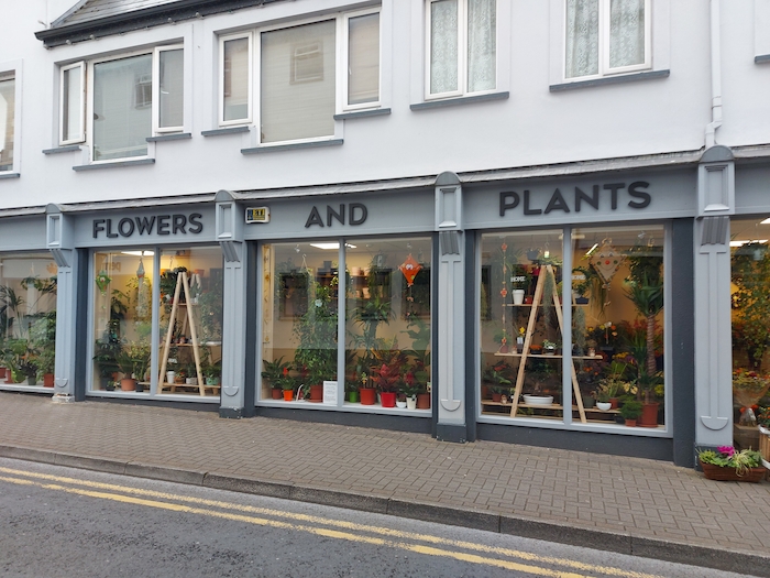 Advertiser.ie Flowers and Plants is open for business