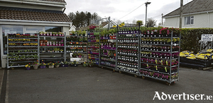 Spring is in the air at Slemon&#039;s Fuel Centre Furbo, which has a wide variety of garden plants and compost in stock. The company offers free home delivery of fuel and garden supplies, covering Knocknacarra, Salthill, Barna, Furbo, Spiddal, Inverin, and surrounding areas. Call today on 091 867 433.