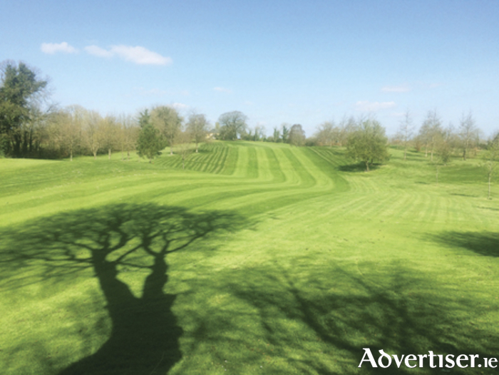 A reverse view of the pristinely prepared 8th fairway at Moate Golf Club which will welcome members from Monday next
