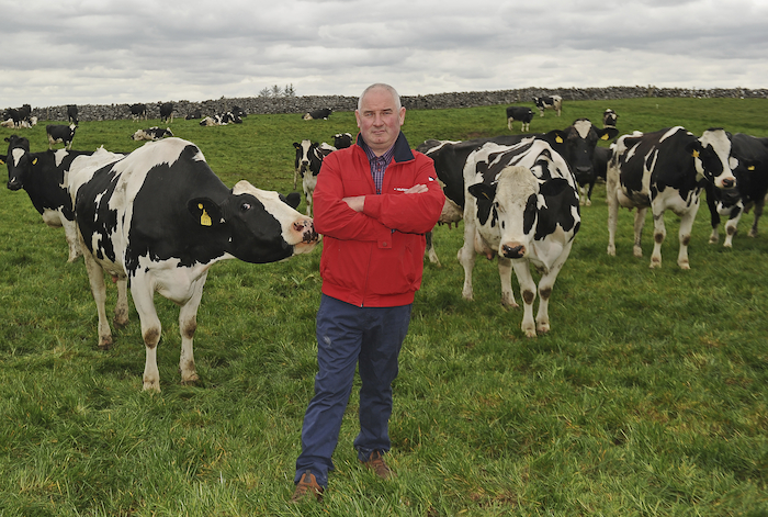 Gerard Murphy from Shrule, has been acknowledged for his contribution to dairy farming excellence at the Aurivo Milk Quality Awards.