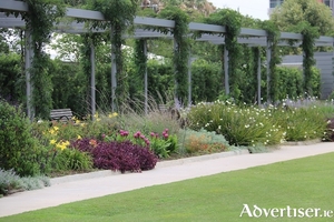 A pergola with climbing plants and a mixed border at the base