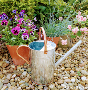 A watering can is the most efficient way to water potted plants