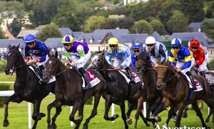 Limerick is particularly famous for its brilliant racecourse. Photo: Philippe Oursel.