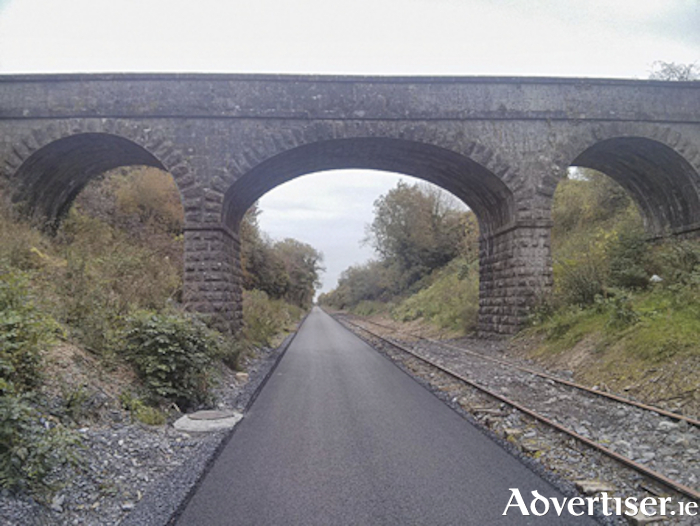At a recent sitting of the Athlone Moate Municipal District, elected members were afforded an update by the local authority executive on the progress of the Greenway extension and bridge construction 
