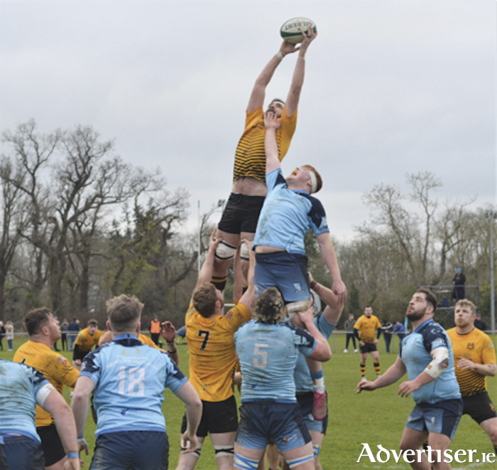 Ruairi Byrne rises highest to win this crucial lineout ball for Buccaneers during their draw with MU Barnhall in the AIL Division 2A clash on Saturday
