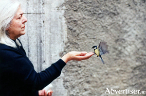 Phyllis Del Vecchio and friend.