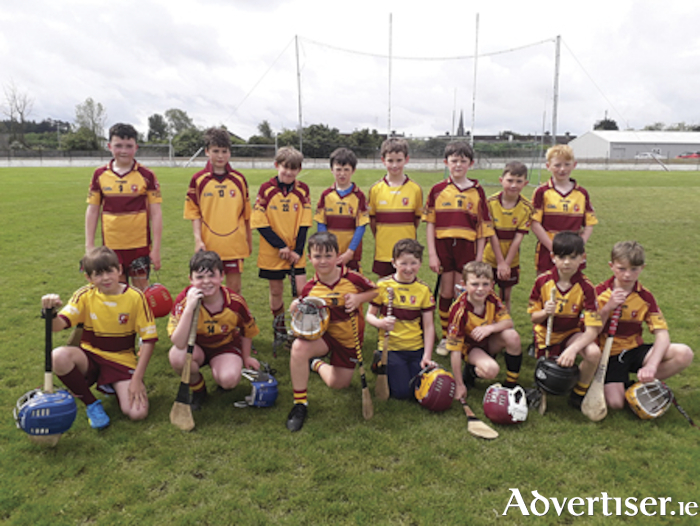 Pictured are the Southern Gaels U11 playing squad who recently participated in the fourth round of the Go Games hurling blitz.
Back row, l-r, Senan Kelly, Conor Matthews, Casper Joyce, Thomas Walsh, Cillian Coughlan, Matthew Monaghan, Senan McLoughlin, Cian Mannion.  Front row, l-r, Marcus McDonald, Lorcan McMonagle, LJ Kelly, Michael Keenan, Kyke Madden, Cooper So, Fearghal Kelly.