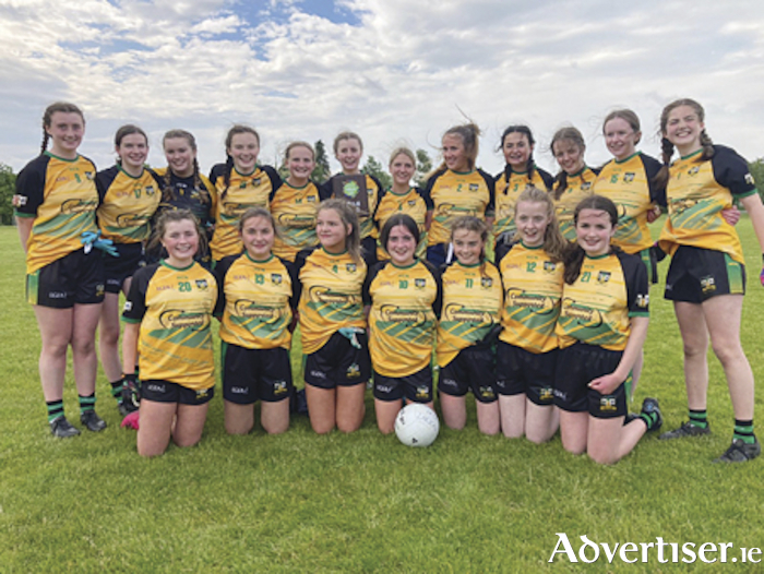 Pictured are the Cill Oige Under 15 playing squad who were Shield victors at the recent Feile Regional Finals 
