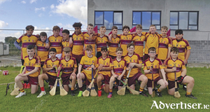 The Southern Gaels Under 13 panel who won the division two shield final this past weekend
