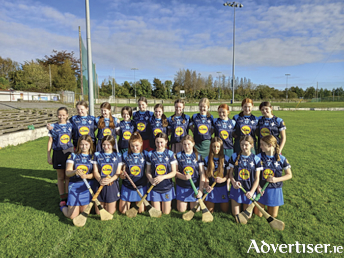 The Pur Lady’s Bower junior camogie playing squad which won their inaugural fixture at this level defeating Tyndall College from Carlow.