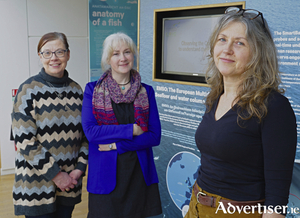 AnnMarie Wright, Catherine Hession, and Ursula Murray, who host the Re:Imagine workshops at Galway City Museum. 
Photo: Mike Shaughnessy.