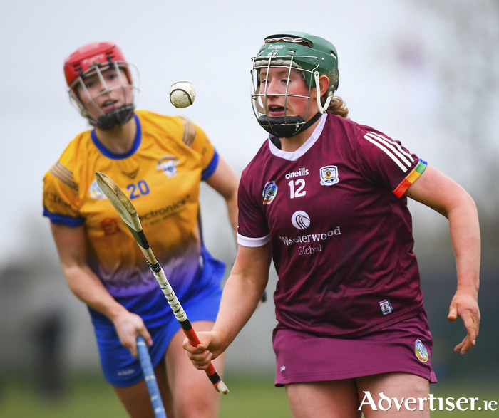 2023 Very Ireland Camogie League Division 1 Round 3: Galway v Clare