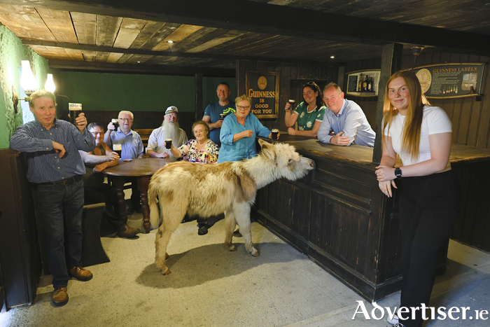 Mike Kelly, Martin Kilroy, Denny Connolly, Pat Diskin, Teresa Mannion, Pat Igoe, Grainne O'Gorman, Kathleen Mee, Luke Mee and Katelyn Mee, joined by Holly the donkey at the bar of J J Devine's Bar now reconstructed at Mee's Bar, Kilkerrin. 
Photo :- Mike Shaughnessy