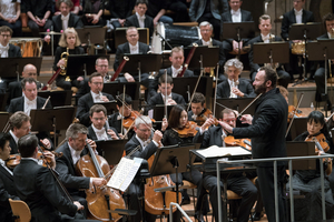 The Berliner Philharmoniker orchestra