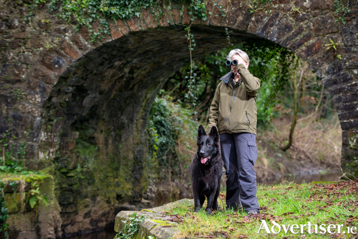 IFI'S Maureen Byrne with detection dog.
