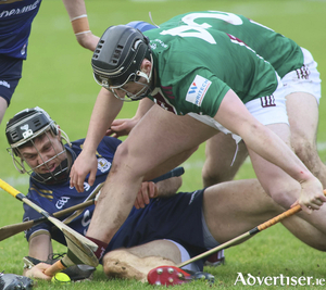 Galway&rsquo;s Sean Linnane and Westmeath&rsquo;s Darragh Egerton in action from the Allianz National Hurling League Division 1 group b game at Pearse Stadium on Saturday. Photo: Mike Shaughnessy  