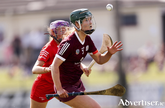Glen Dimplex All-Ireland Senior Camogie Championship Group 1, Kenny Park, Athenry, 
