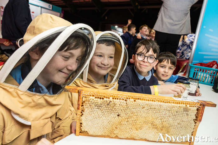 Pupils from Newtown NS, Ballinsloe, Galway.Their project investigated the science behind the question ‘Can animals fight off disease better than humans?’.