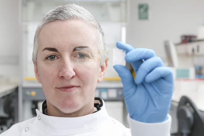 Lead neuroscientist on the project, Professor Eilís Dowd.