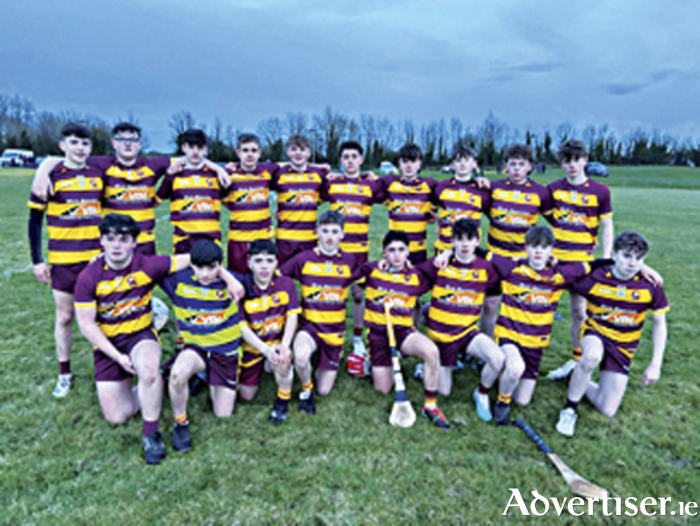 Pictured are the Southern Gaels Under 16 playing squad who defeated Delvin in their opening league contest
