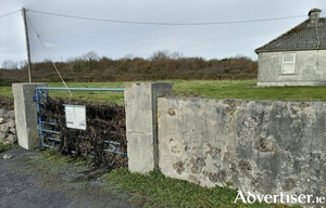 Seaweed on a gate in Oranmore last November indicates storm surge height (Photo: An Taisce)