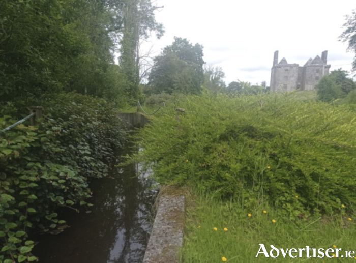 The Glinsk Heritage Park trail, which is set to undergo significant upgrade in the coming months. Photo Galway County Council.